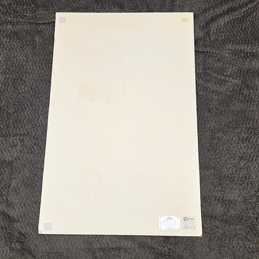 Vintage 1995 Penguins of the World Jonathan Chester Poster 23x46 Rigid Foam