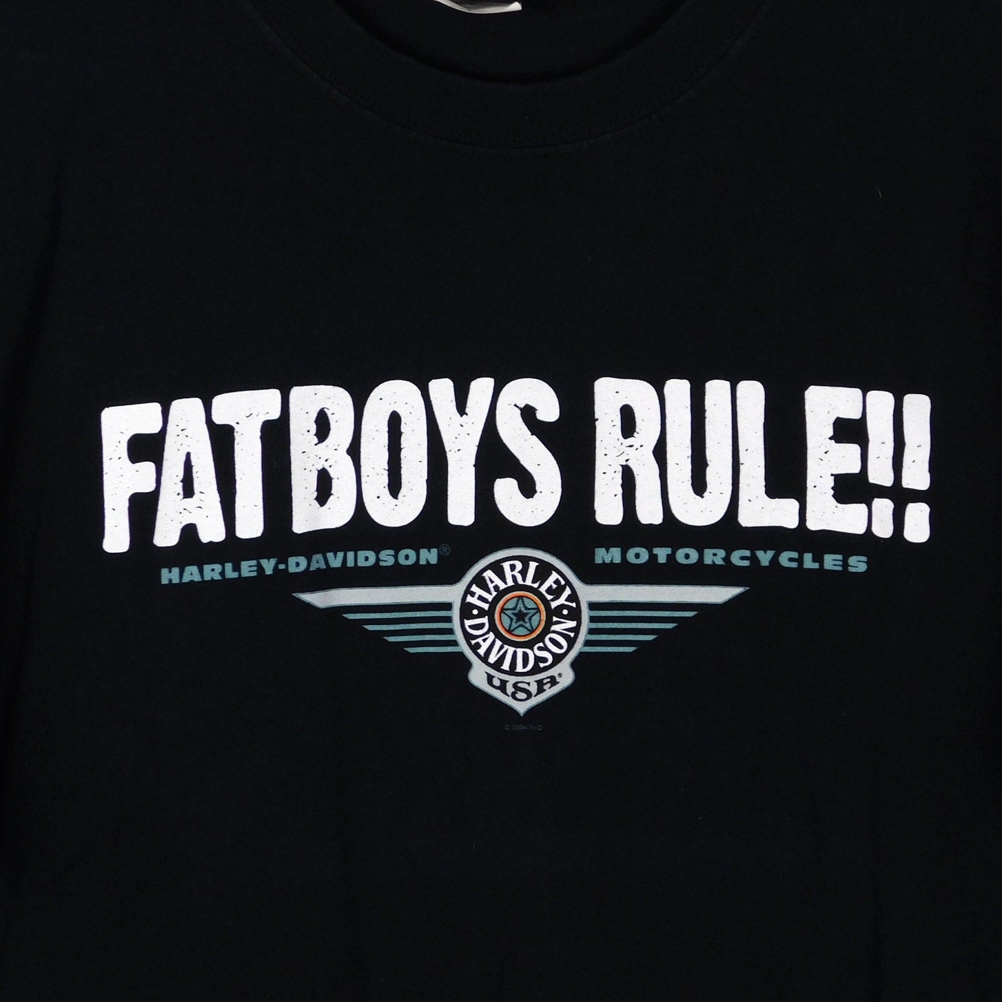 Y2K Harley Davidson New Zealand Fat Boys Rule T Shirt - Size L