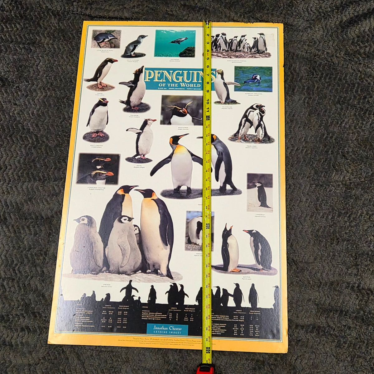 Vintage 1995 Penguins of the World Jonathan Chester Poster 23x46 Rigid Foam