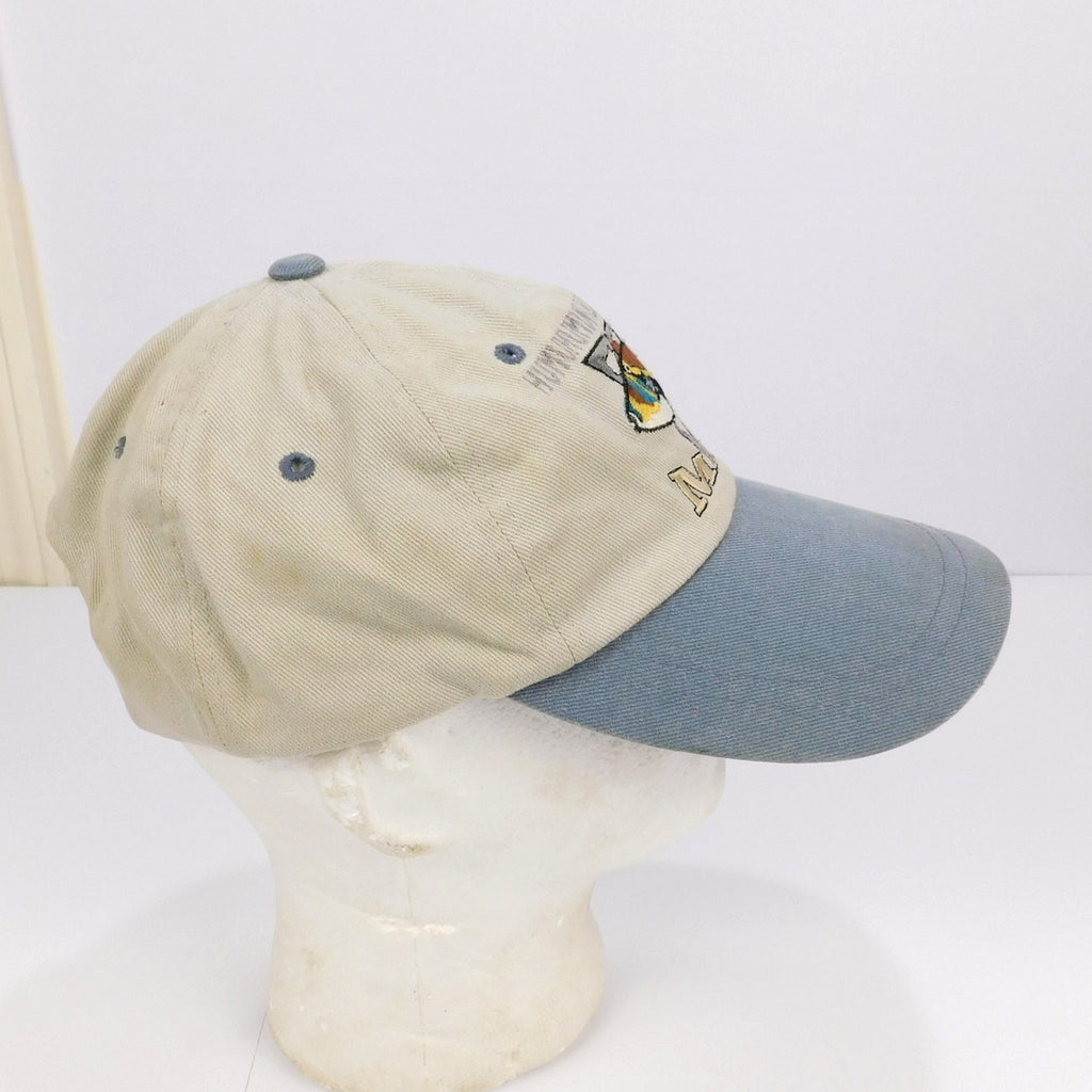 Retro Hawaii State Fish (Humuhumunukunukuapuaa) Hat - Adjustable