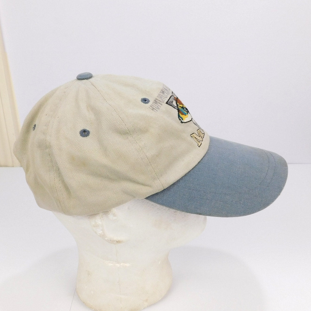 Retro Hawaii State Fish (Humuhumunukunukuapuaa) Hat - Adjustable