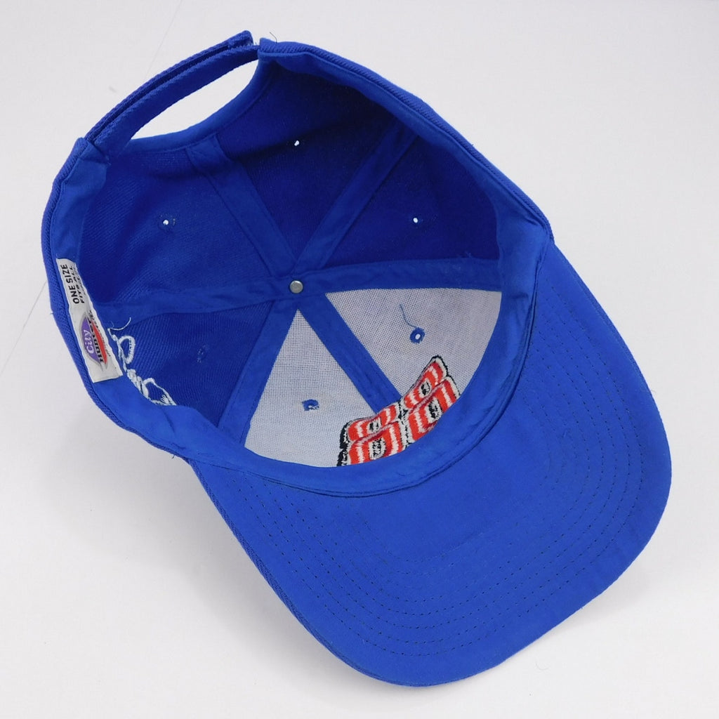 NASCAR Dale Earnhardt Jr Hat Cap 88 Adjustable Blue Red Embroidered Junior