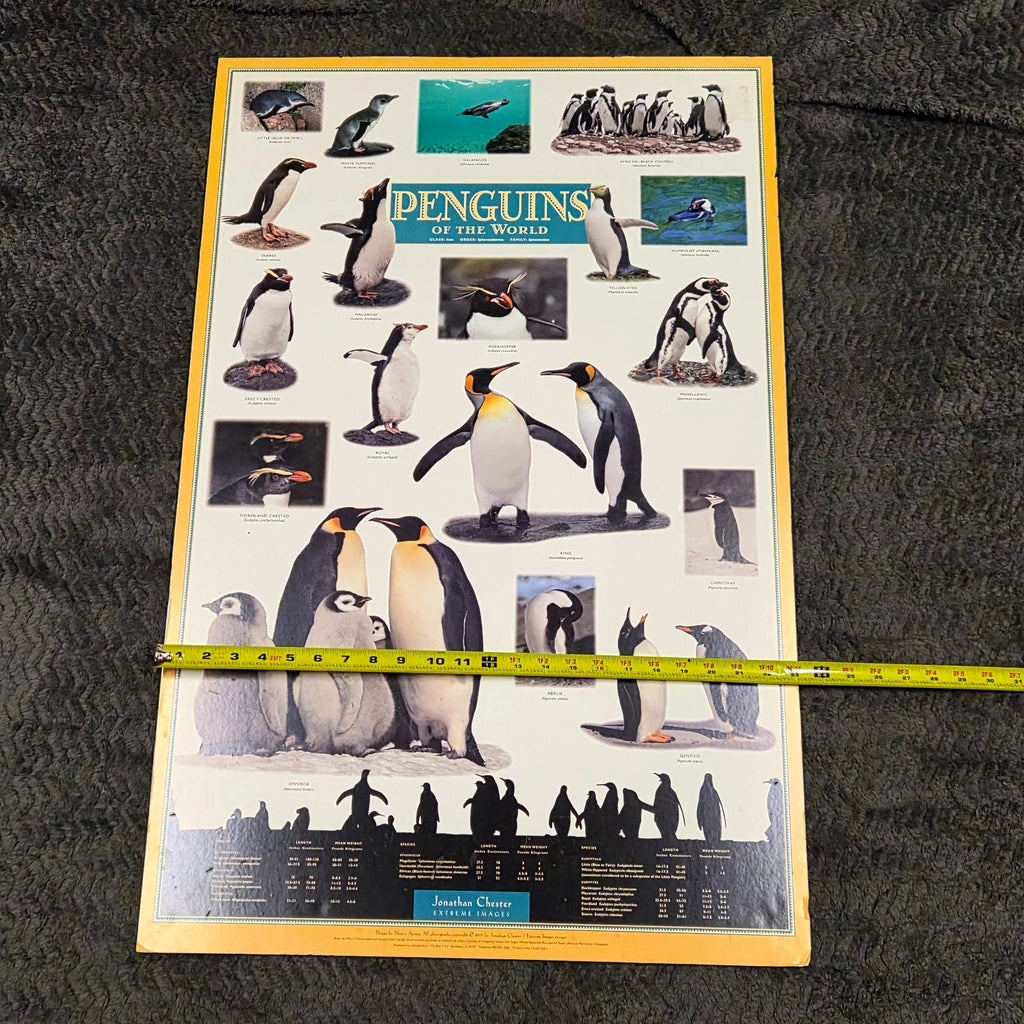 Vintage 1995 Penguins of the World Jonathan Chester Poster 23x46 Rigid Foam
