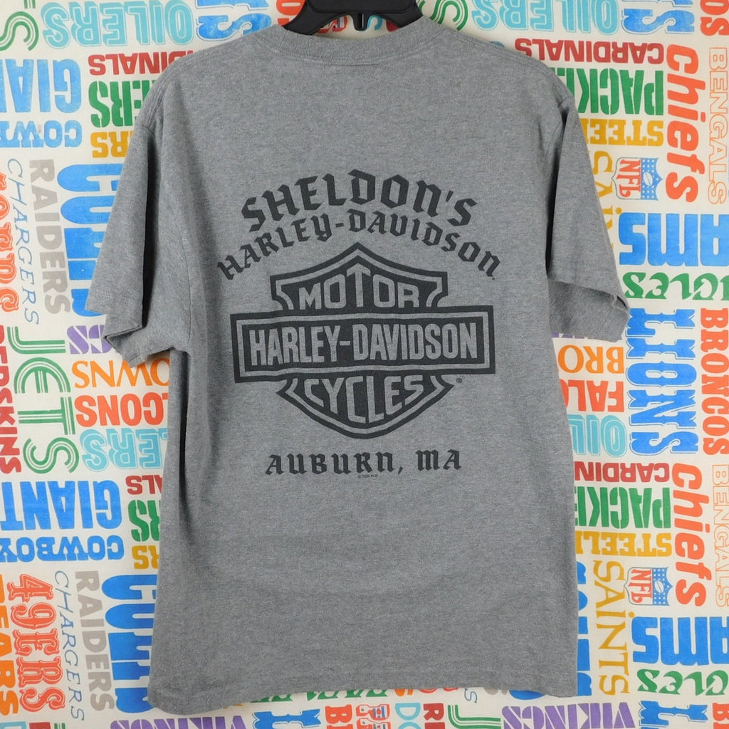 Harley Davidson Auburn MA T Shirt - Size M