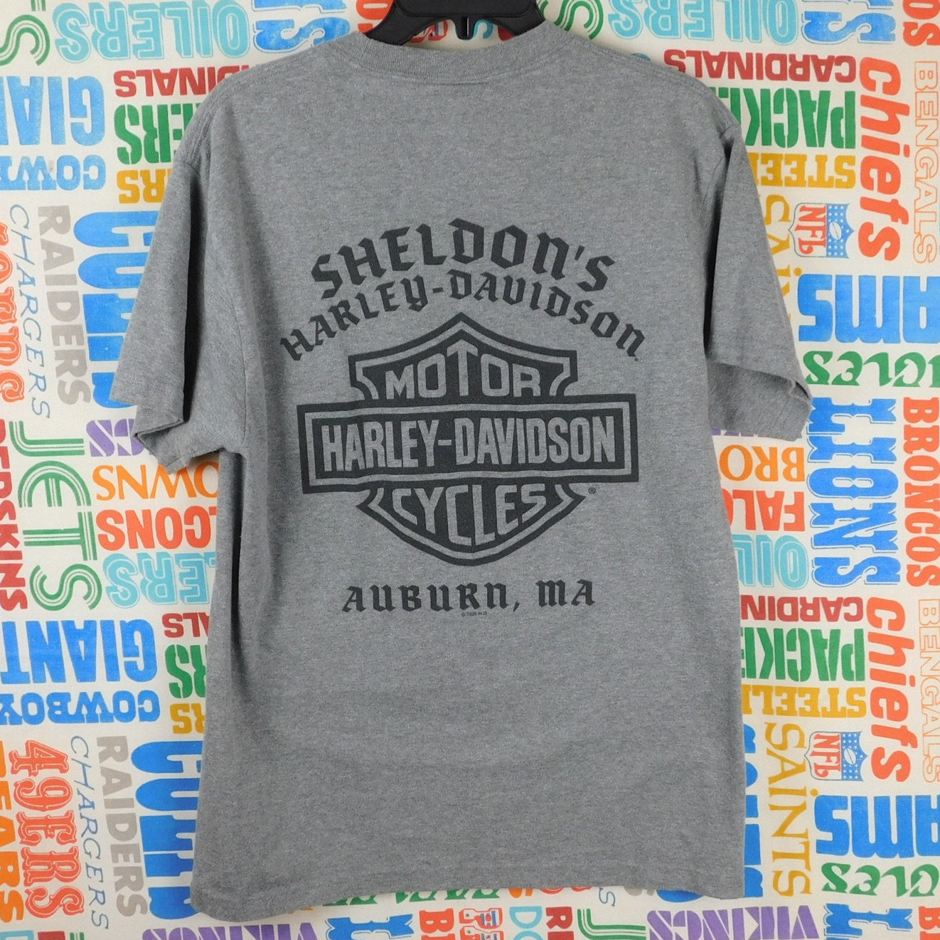 Harley Davidson Auburn MA T Shirt - Size M