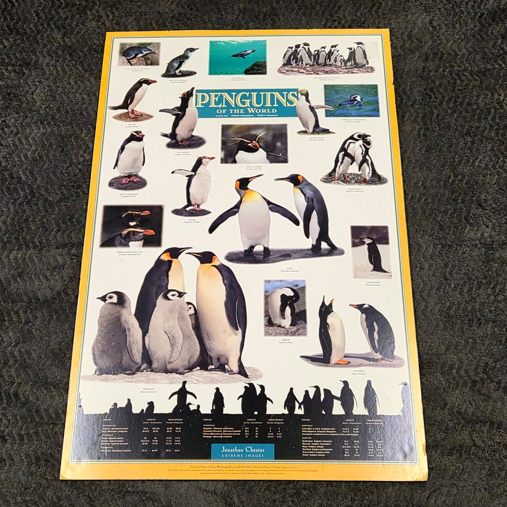 Vintage 1995 Penguins of the World Jonathan Chester Poster 23x46 Rigid Foam