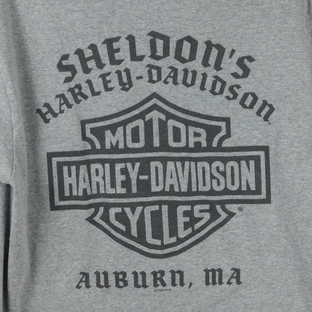 Harley Davidson Auburn MA T Shirt - Size M