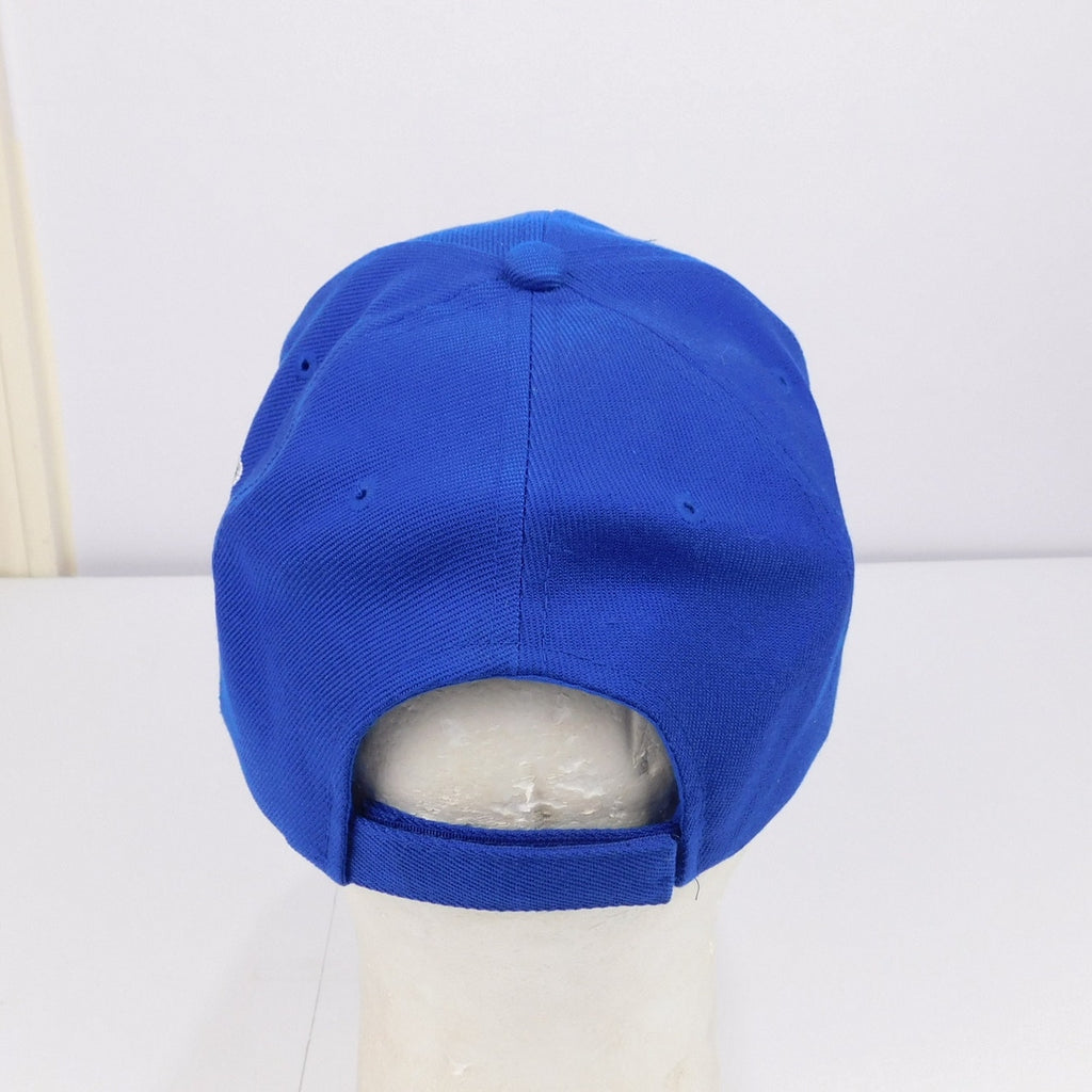 NASCAR Dale Earnhardt Jr Hat Cap 88 Adjustable Blue Red Embroidered Junior