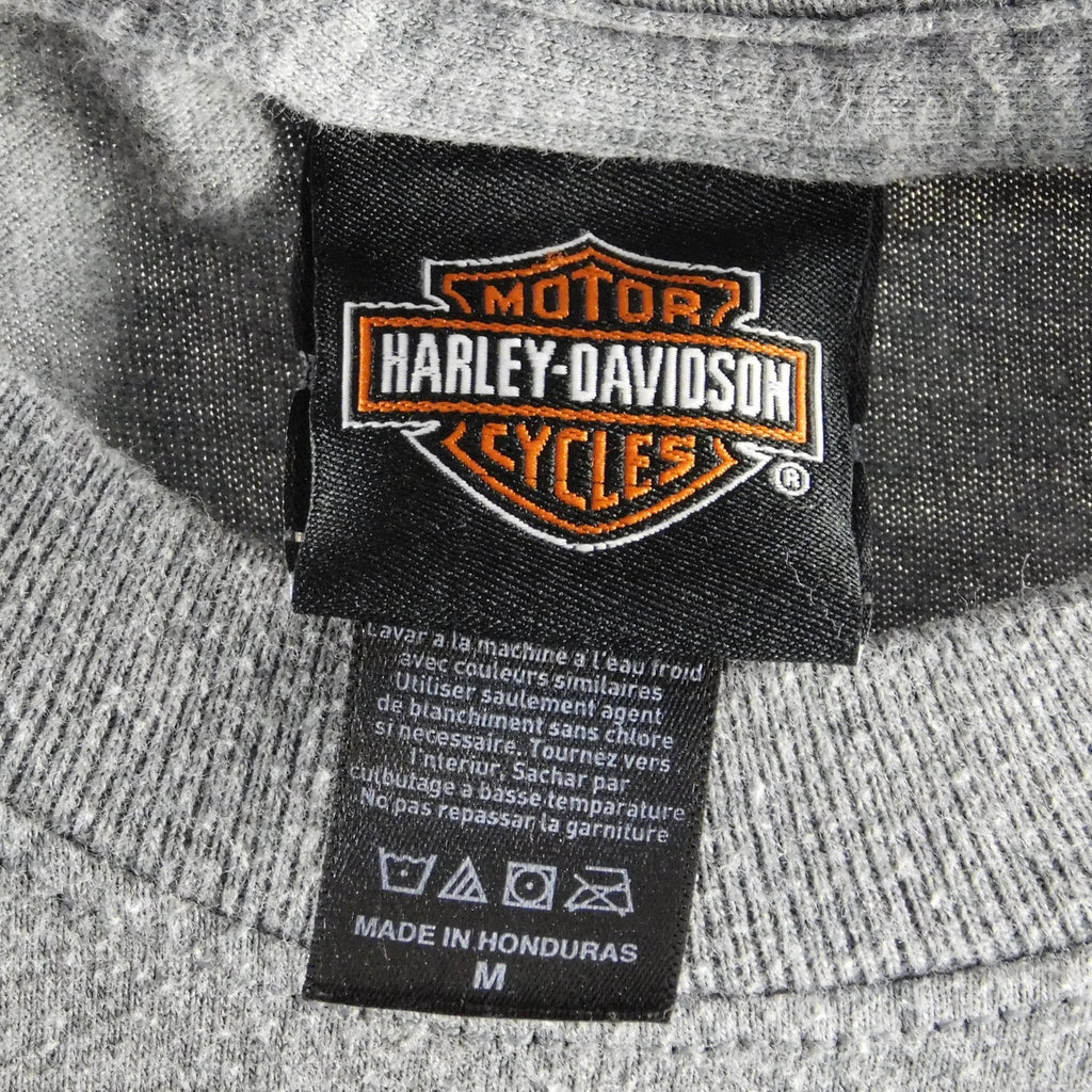 Harley Davidson Auburn MA T Shirt - Size M