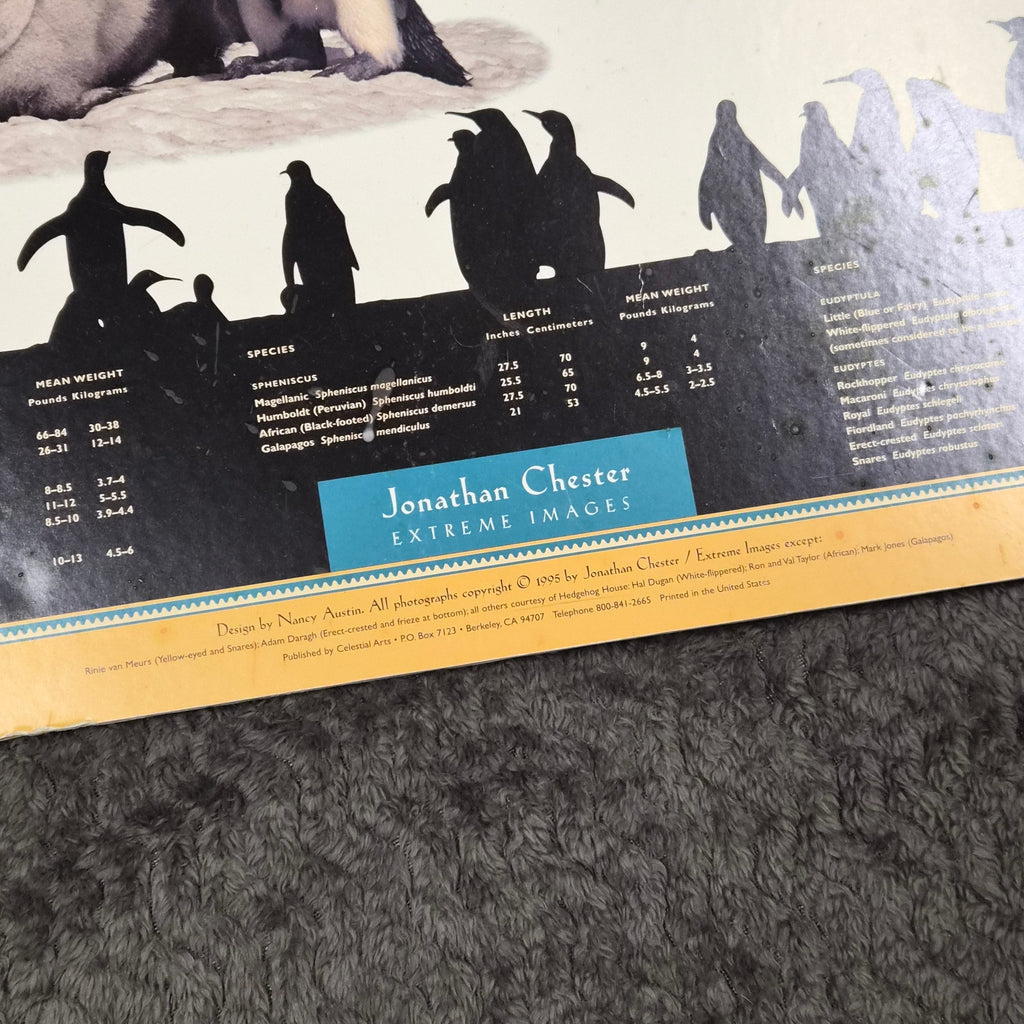 Vintage 1995 Penguins of the World Jonathan Chester Poster 23x46 Rigid Foam