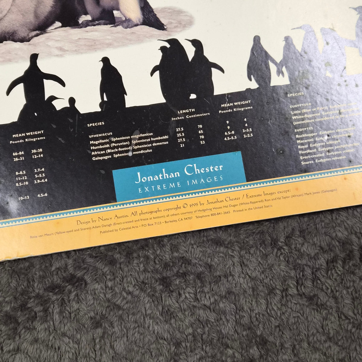 Vintage 1995 Penguins of the World Jonathan Chester Poster 23x46 Rigid Foam